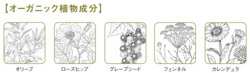 オーガニック植物配合